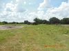 1550 Ree Ln photo